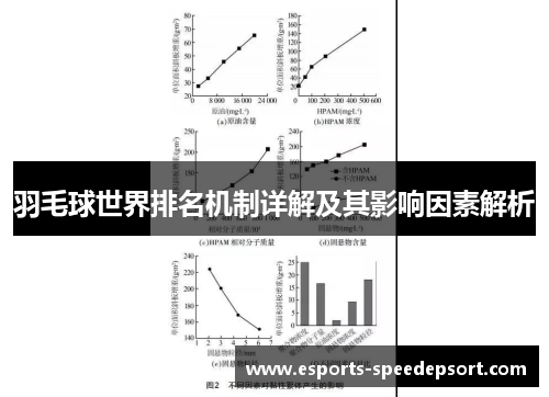 羽毛球世界排名机制详解及其影响因素解析