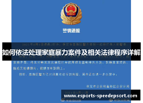 如何依法处理家庭暴力案件及相关法律程序详解