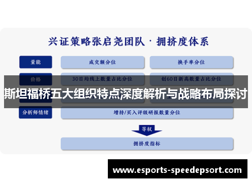 斯坦福桥五大组织特点深度解析与战略布局探讨