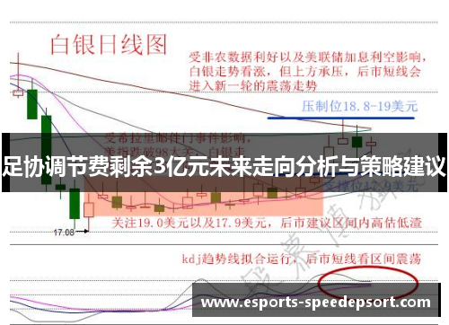足协调节费剩余3亿元未来走向分析与策略建议 足协调节费剩余3亿元未来走向分析与策略建议