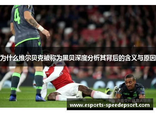 为什么维尔贝克被称为黑贝深度分析其背后的含义与原因