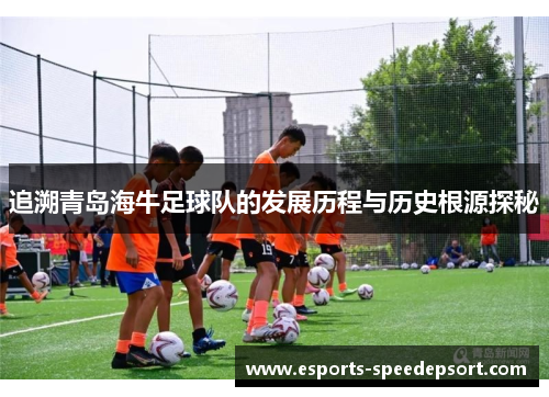 追溯青岛海牛足球队的发展历程与历史根源探秘