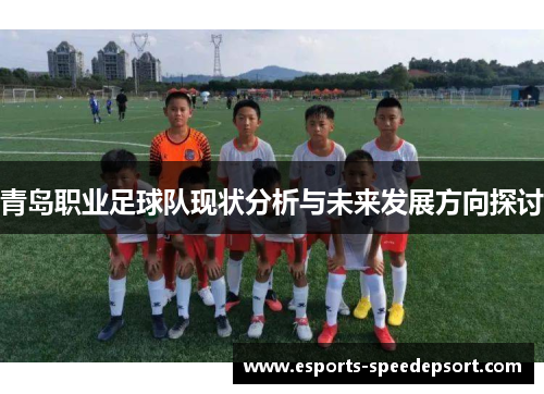 青岛职业足球队现状分析与未来发展方向探讨