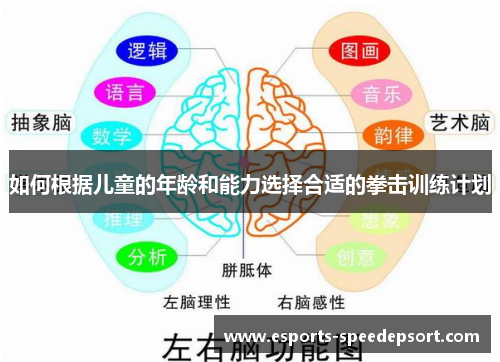 如何根据儿童的年龄和能力选择合适的拳击训练计划 如何根据儿童的年龄和能力选择合适的拳击训练计划